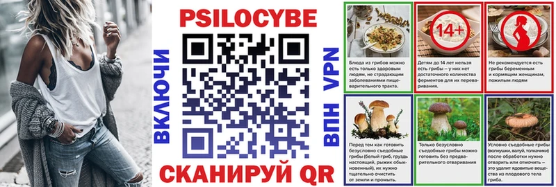 Псилоцибиновые грибы Cubensis  блэк спрут   Тара  закладки 