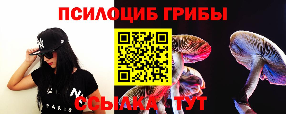 Псилоцибиновые грибы Psilocybine cubensis Тара