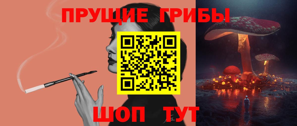 Псилоцибиновые грибы Magic Shrooms  где купить наркотик  Тара  Псилоцибиновые грибы GOLDEN TEACHER  Вход с VPN 